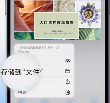 博野apple维修中心分享iPhone文件应用中存储和找到下载文件