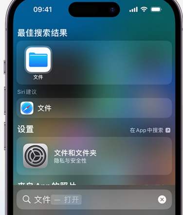 博野apple维修中心分享iPhone文件应用中存储和找到下载文件