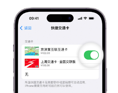 博野apple维修点分享iPhone上更换Apple Pay快捷交通卡手绘卡面 