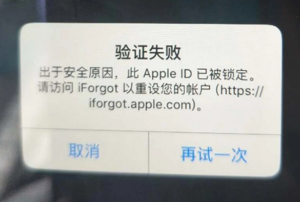 博野iPhone维修分享iPhone上正常登录或使用AppleID怎么办 