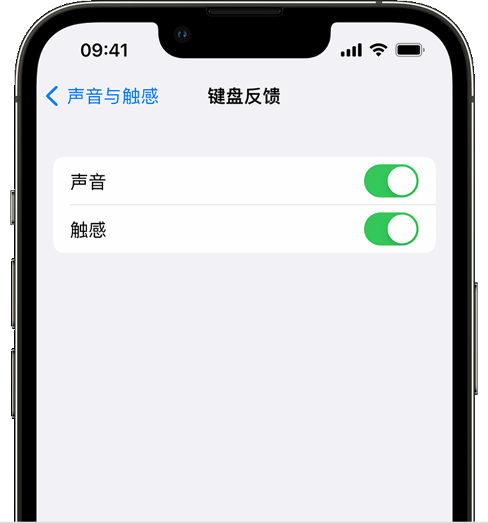 博野苹果14维修店分享如何在 iPhone 14 机型中使用触感键盘 