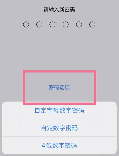 博野苹果14维修分享iPhone 14plus设置密码的方法 