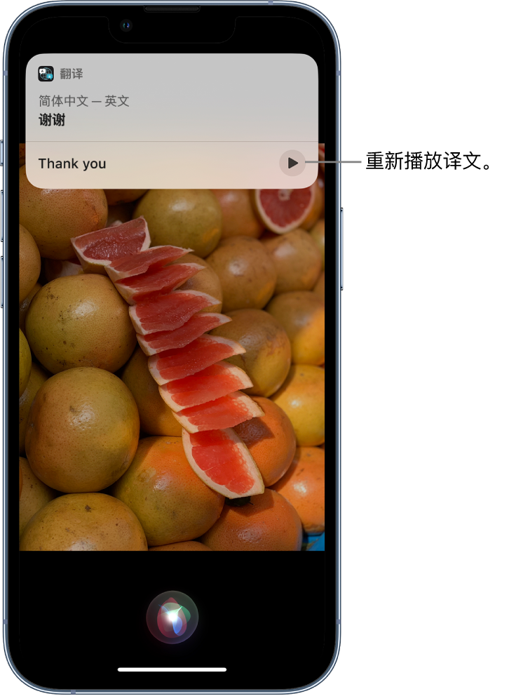 博野苹果14维修分享 iPhone 14 机型中使用 Siri：了解 Siri 能帮你做什么 