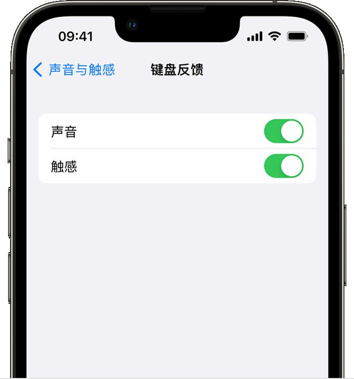 博野苹果14维修分享iPhone 14 系列机型如何开启键盘声音或触感反馈 