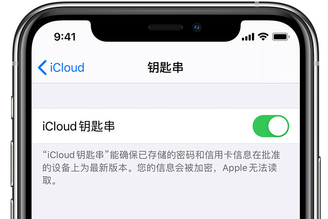 博野苹果手机维修分享在 iPhone 上开启 iCloud 钥匙串之后会储存哪些信息 