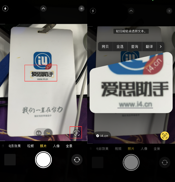 博野苹果手机维修分享升级iOS 16后如何通过相机翻译文本 