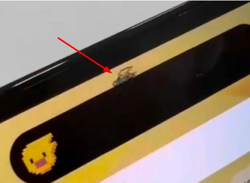 博野苹果14维修分享iPhone 14 Pro Max灵动岛怎么养宠物 