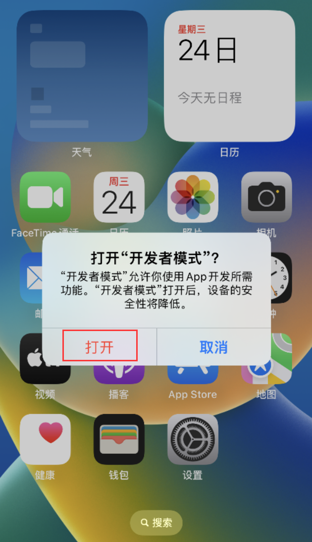 博野苹果手机维修分享如何打开开发者模式 