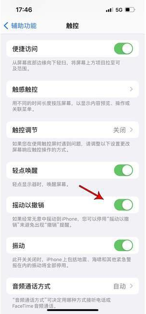 博野苹果手机维修分享iPhone手机如何设置摇一摇删除文字 