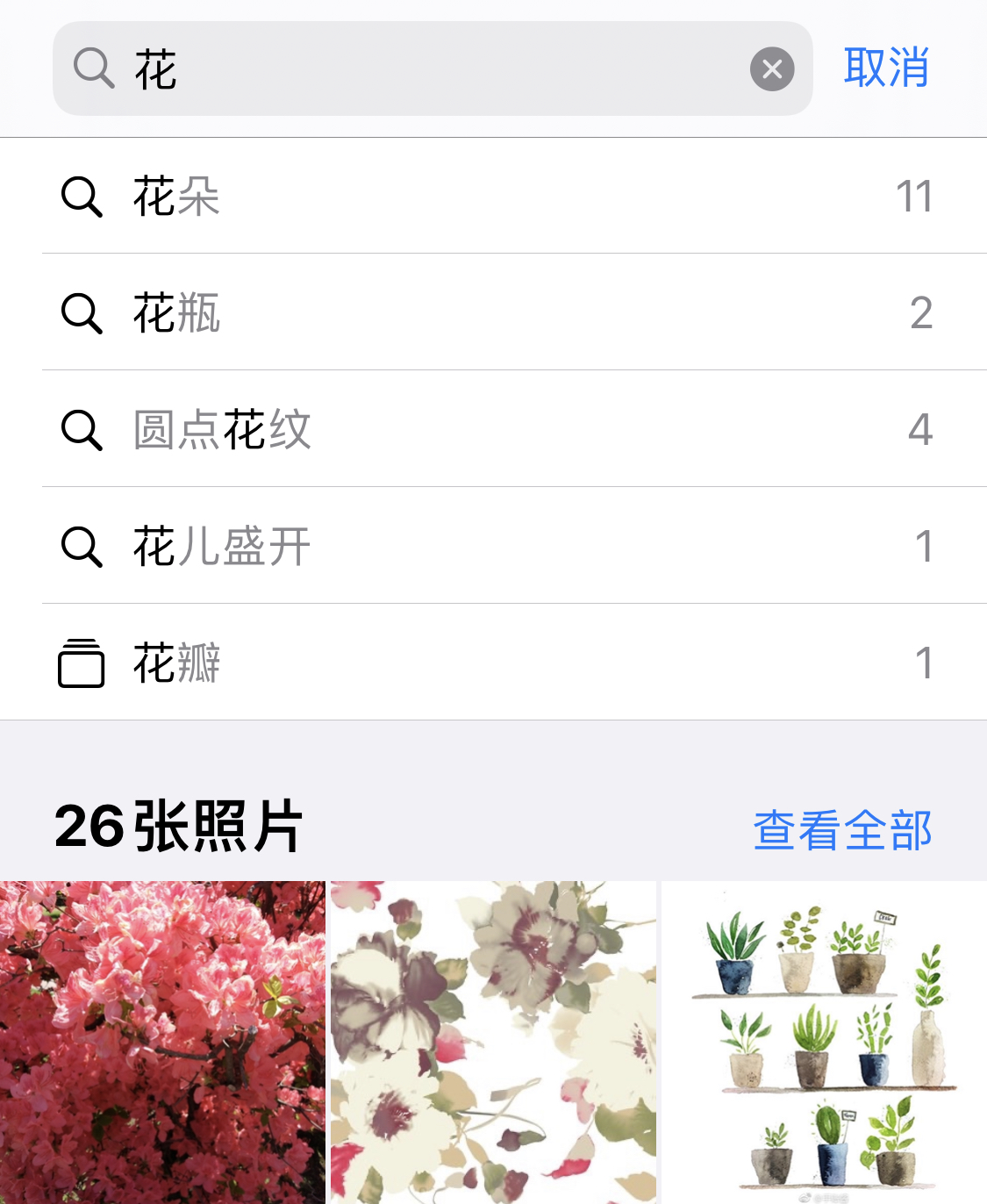 博野苹果手机维修分享iPhone 小技巧 