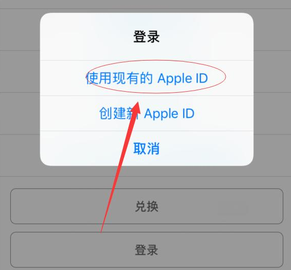 博野苹果手机维修分享两台iPhone设备可以同时登录一个Apple ID吗 