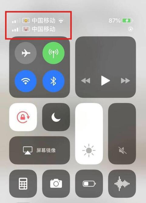 博野苹果手机维修分享为 iPhone 12 双卡设置标签 