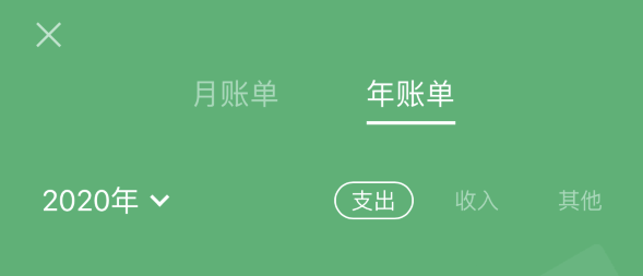 博野苹果手机维修分享如何在 iPhone 上查看支付宝和微信年支出账单 